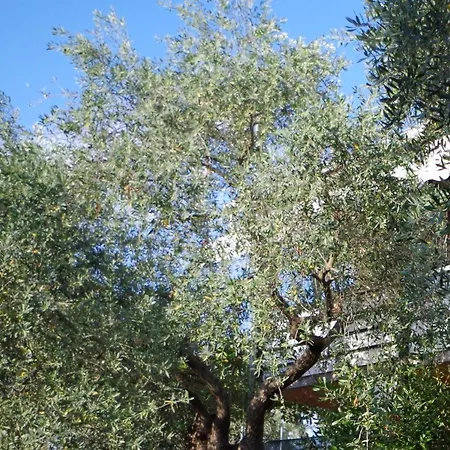 Ilios House Appartement